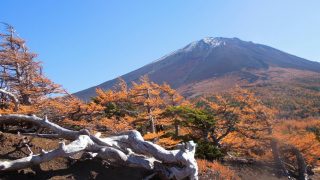 富士スバルライン5合目