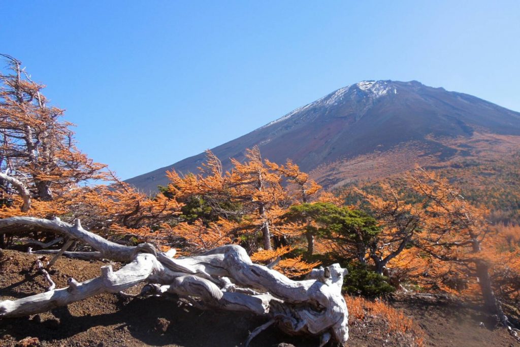 富士スバルライン5合目