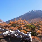 富士スバルライン5合目