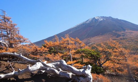 富士スバルライン5合目