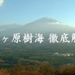 青木ヶ原樹海,解説,アクセス,自殺スポット,富士山,歴史