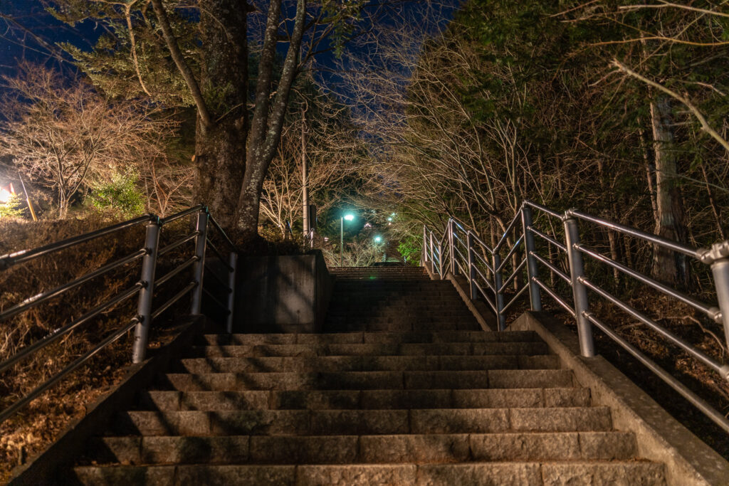 新倉山浅間公園
