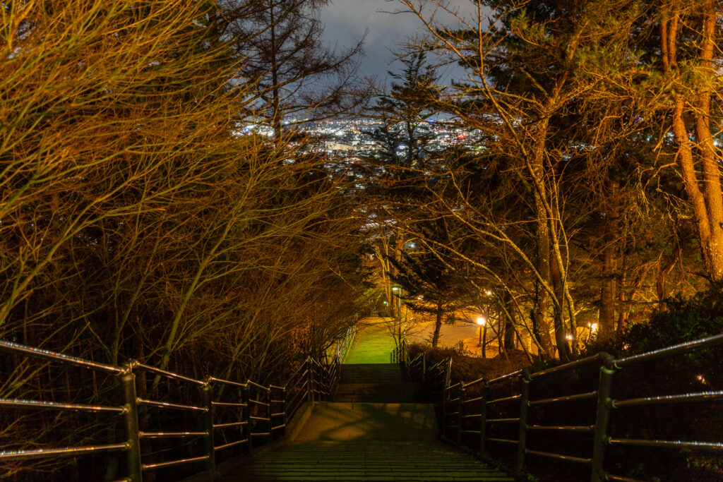 新倉山浅間公園