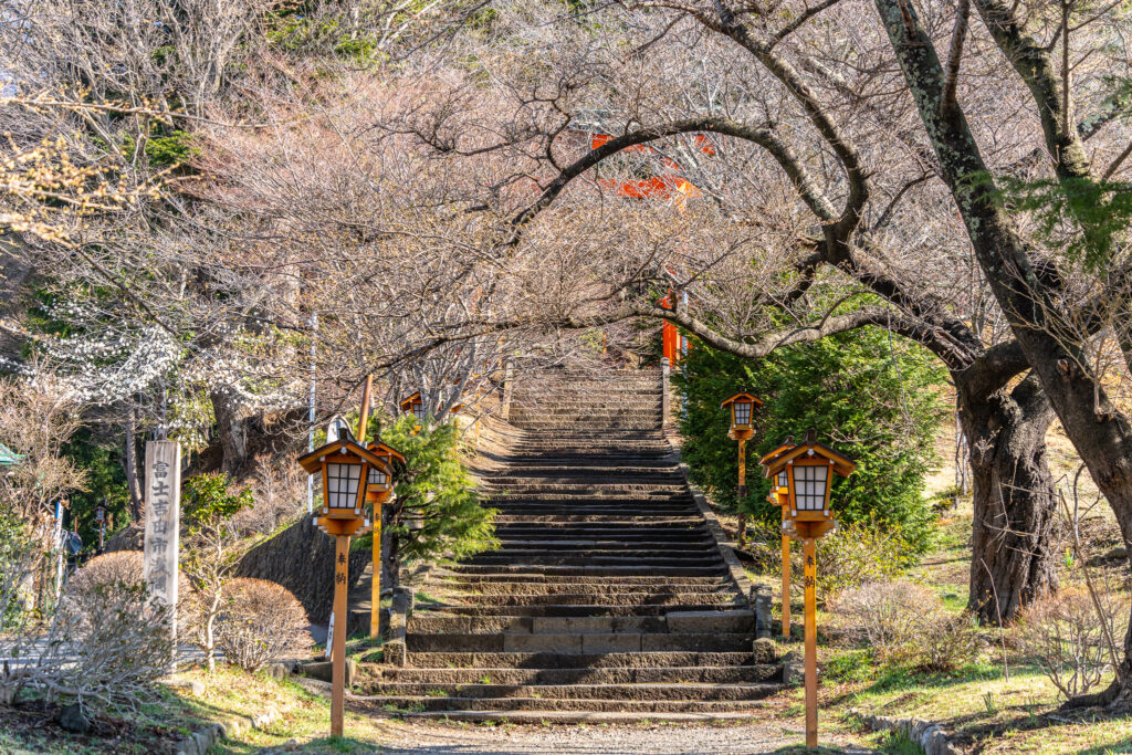 新倉山浅間公園