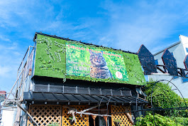 アトリエ高菜先生